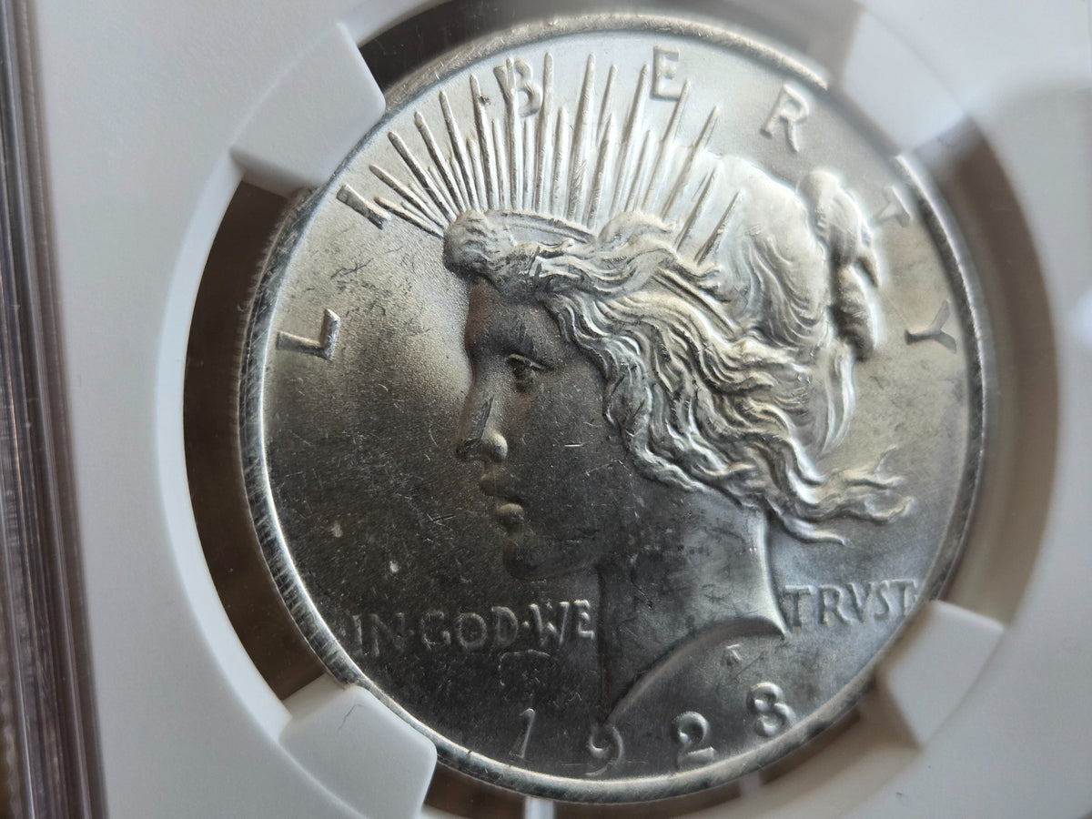 1923 Peace dollar NGC Brilliant Uncirculated — obverse close-up