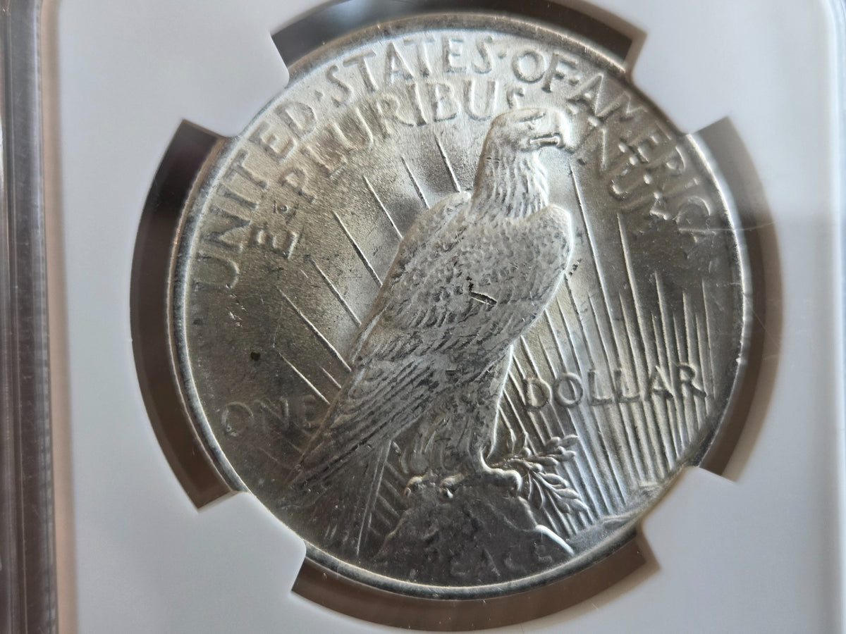 1923 Peace dollar NGC Brilliant Uncirculated — reverse close-up